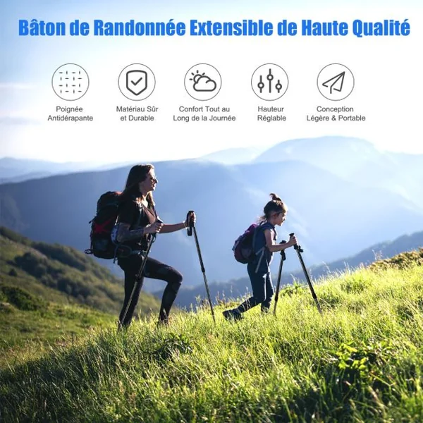 2 Bâtons de Marche Léger Longueurs Réglables 65-135cm Bâtons de Randonnée en Aluminium Alpenstocks Durables