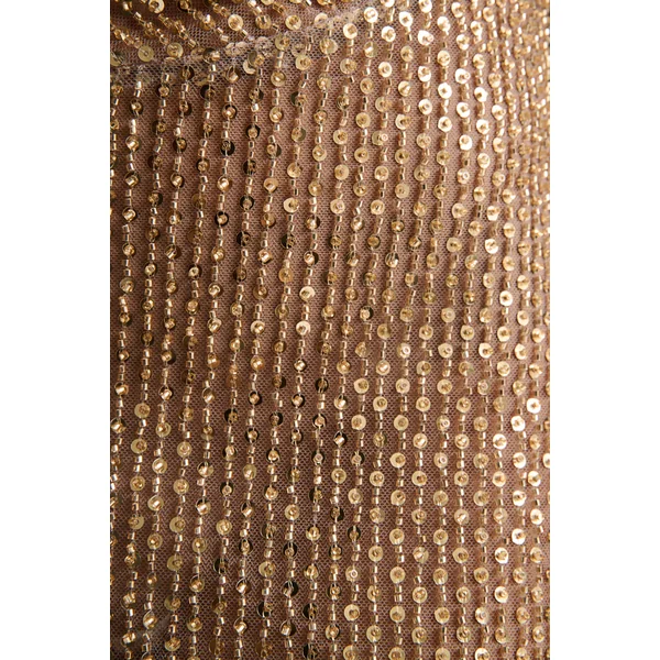 Anele | Robe longue transparente à col montant ornée de sequins dorés avec ceinture et dos nu