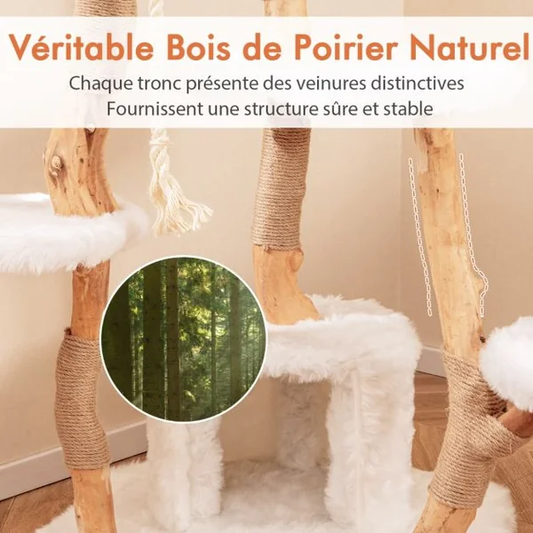 Arbre à Chat Moderne en Bois Massif 168cm Perchoirs Condo Griffoirs en Jute Corde en Sisal Peluche Longue et Douce Balle Suspendue