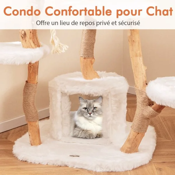 Arbre à Chat Moderne en Bois Massif 168cm Perchoirs Condo Griffoirs en Jute Corde en Sisal Peluche Longue et Douce Balle Suspendue