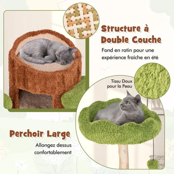 Arbre à Chat à Plusieurs Niveaux Tour pour Chat à 2 Etages Poteaux à Gratter en Sisal Perchoir Supérieur Plateformes Rondes Naturel