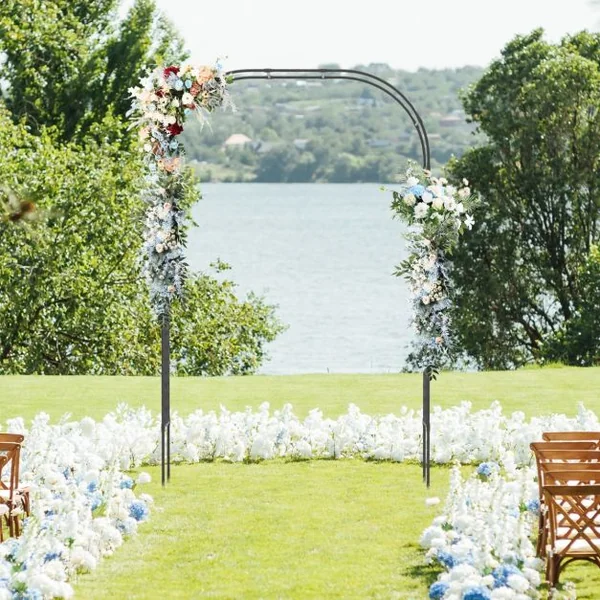 Arche de Jardin avec Treillis en Métal pour Plantes Grimpantes Support de Vignes et Fleurs Treillis de Jardin 153 x 40 x 240 cm