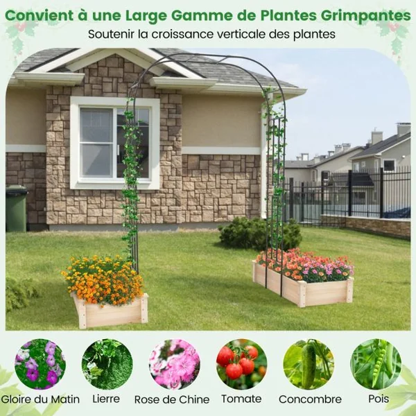 Arche de Jardin avec Treillis en Métal pour Plantes Grimpantes Support de Vignes et Fleurs Treillis de Jardin 153 x 40 x 240 cm