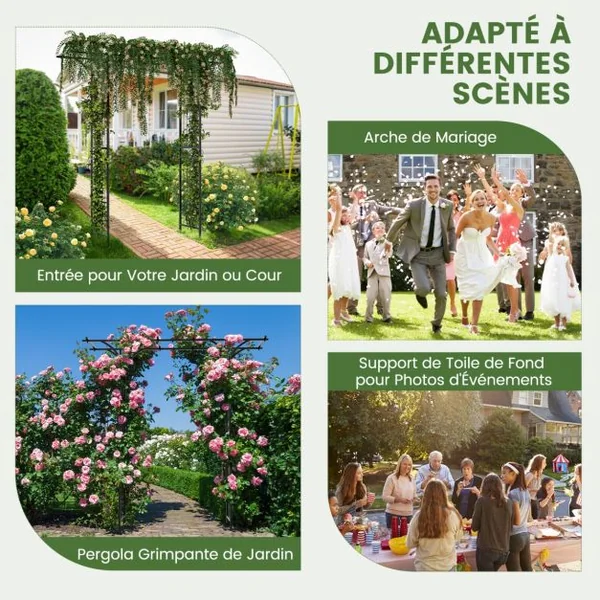 Arche de Jardin en Métal Revêtu de Poudre pour Plantes Grimpantes Arceau à Rosiers Imperméable 208x52x208 cm