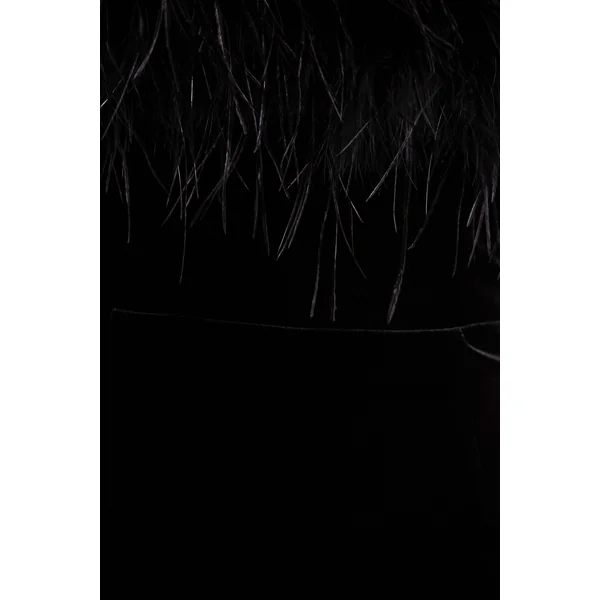 Arella | Robe Longue en Velours Noir à Encolure Bardot avec Bordure en Plumes
