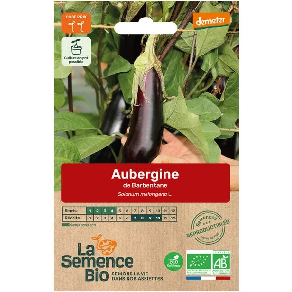 Aubergine de Barbentane semence 0,16g