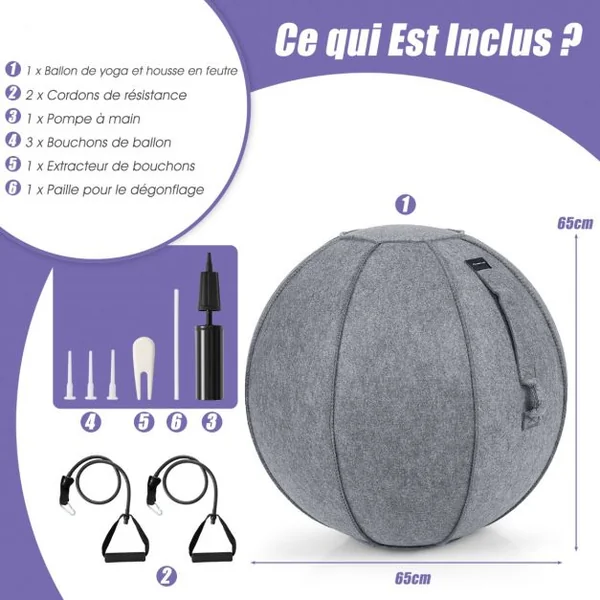 Ballon de Pilates 65CM avec Housse en Feutre Doux 2 Bandes de Résistance Poignées et Pompe Ballon Gym pour Maison Gris