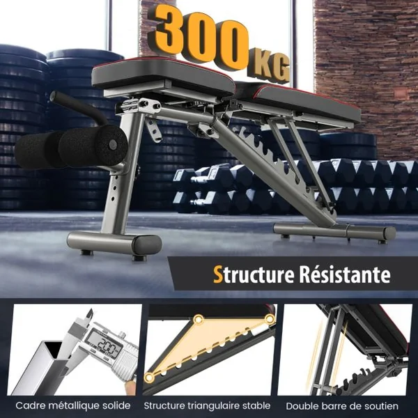 Banc de Musculation Réglable Banc de Fitness Robuste 300 k, 2 roues de Transport Banc d'Entraînement Complet du Corps Noir