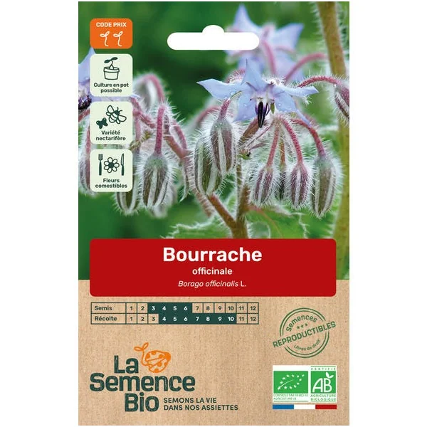 Bourrache officinale semence 2,5g