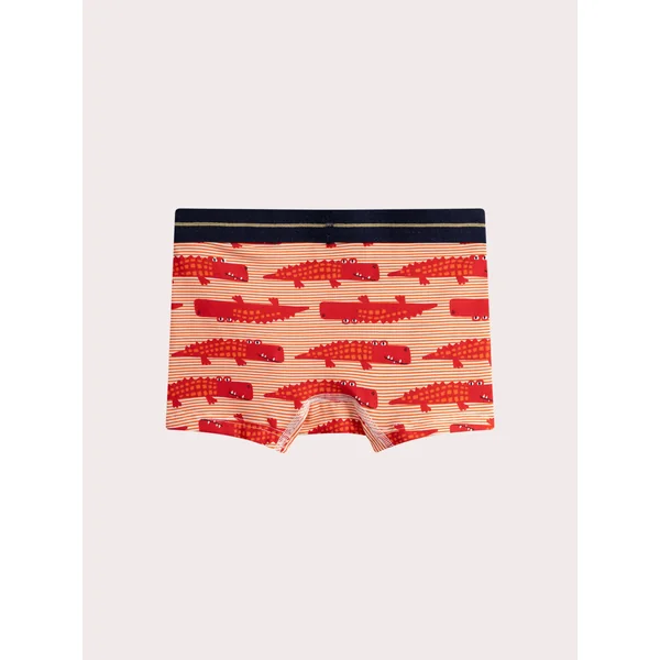 Boxer lot de 5 imprimé crocodile pour enfant garçon - Soins Bébé Naturels & Produits Maman Après Naissance