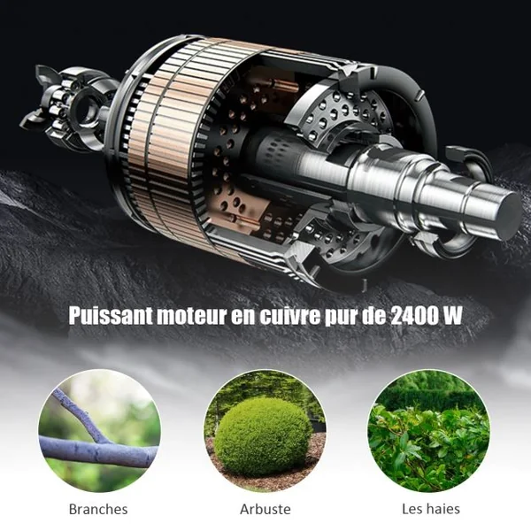 Broyeur Électrique 2400W pour Végétaux et Branches 45 mm max Bac de Ramassage 45L Accessoires 46x38x91cm Rouge