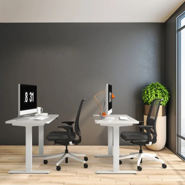 Bureau Assis-Debout Électrique à 2 Moteurs Cadre de Bureau avec Largeur et Hauteur Réglables et Commande à Mémoire Blanc/Gris/Noir