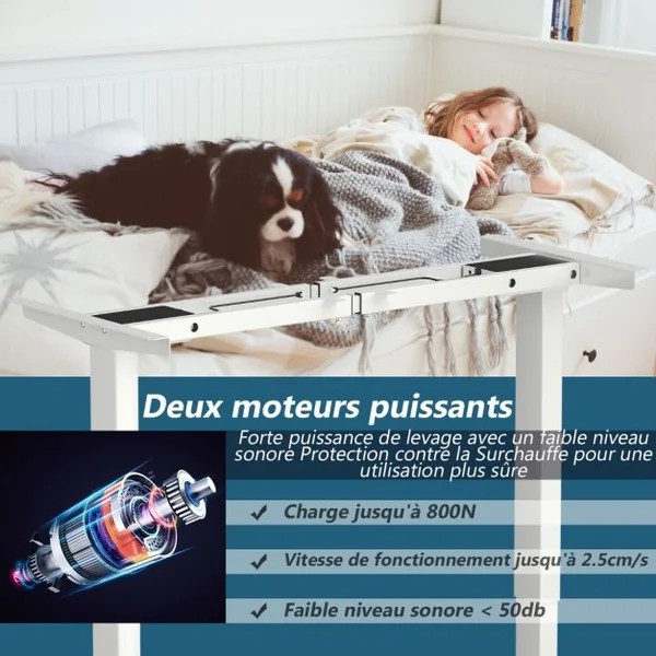 Bureau Assis-Debout Électrique à 2 Moteurs Cadre de Bureau avec Largeur et Hauteur Réglables et Commande à Mémoire Blanc/Gris/Noir
