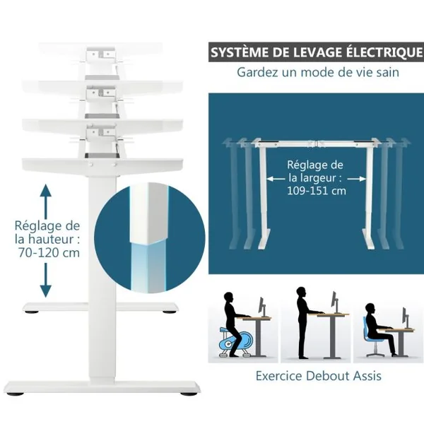 Bureau Assis-Debout Électrique à 2 Moteurs Cadre de Bureau avec Largeur et Hauteur Réglables et Commande à Mémoire Blanc/Gris/Noir