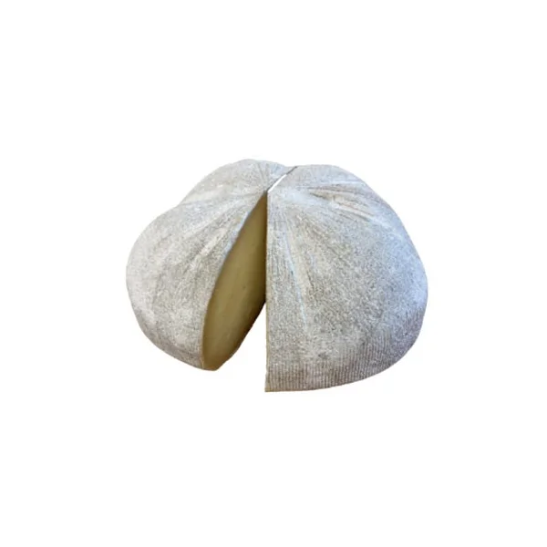 Béret brebis pasteurisé 35 jours