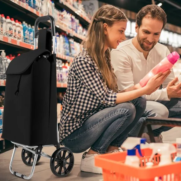 Caddie pliant 35 L / 35 Kg à roulettes Chariot de courses pliable avec 2 roues et sac amovible pour courses marché bureau