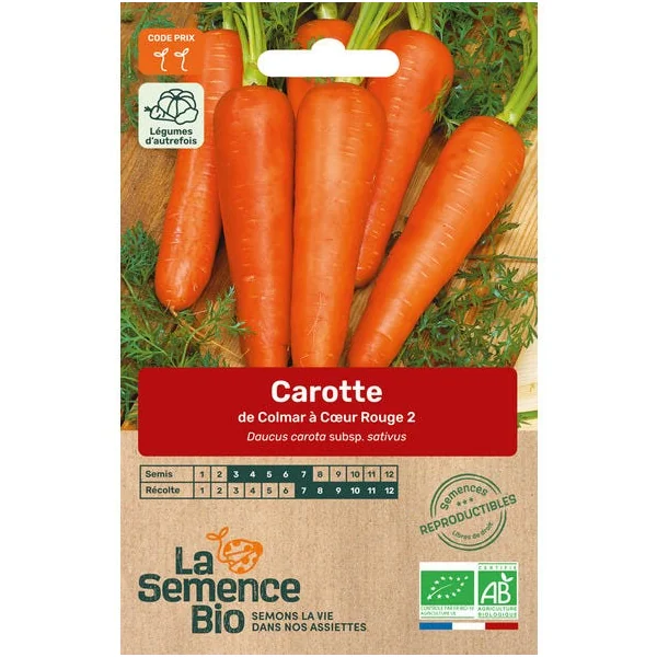 Carotte Colmar Cœur Rouge semence 1.2g