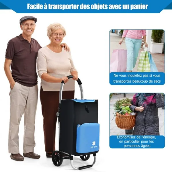 Chariot de Courses Pliable 53L 2 Roues et Grand Sac de Courses Détachable Emplacement pour Garder la Température