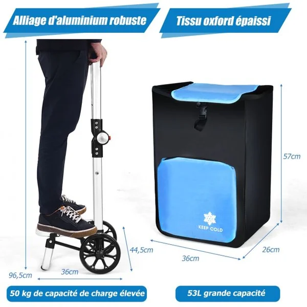Chariot de Courses Pliable 53L 2 Roues et Grand Sac de Courses Détachable Emplacement pour Garder la Température