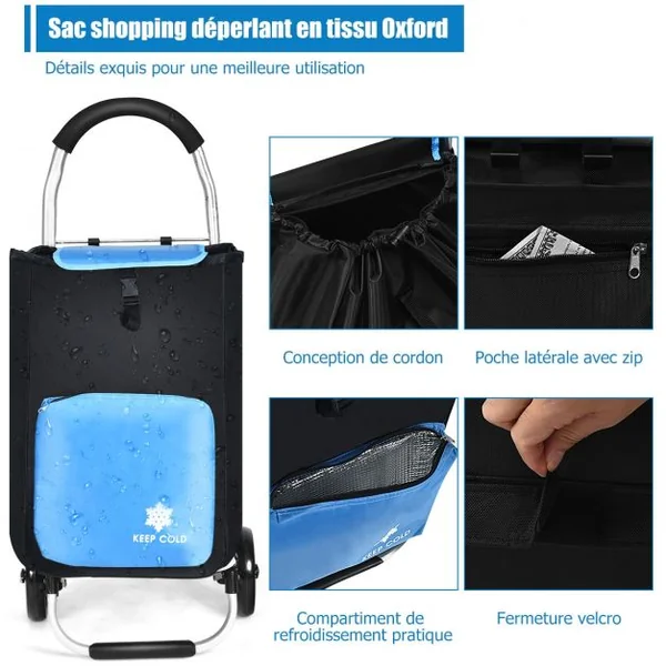 Chariot de Courses Pliable 53L 2 Roues et Grand Sac de Courses Détachable Emplacement pour Garder la Température