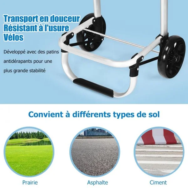 Chariot de Courses Pliable 53L 2 Roues et Grand Sac de Courses Détachable Emplacement pour Garder la Température