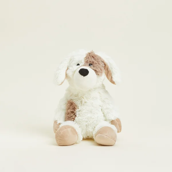 Chien bouillotte Warmies