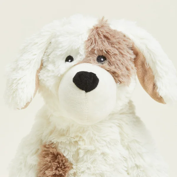 Chien bouillotte Warmies