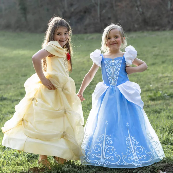 Child costume – ice queen dress