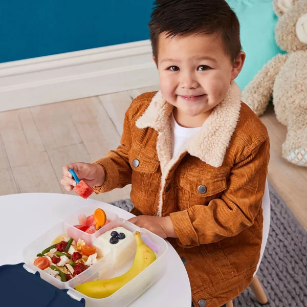 Children's bento lunch box large format 2-litre