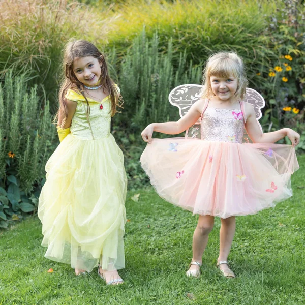 Children's costume – Belle castle princess dress
