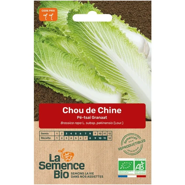 Chou de Chine pé-tsaï semence 0.9g
