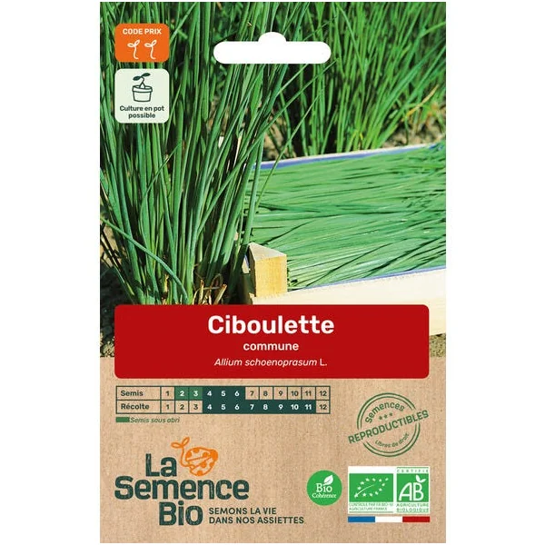 Ciboulette commune semence 0,6g