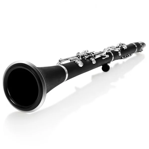 Clarinette 17 Clés avec 2 Barillets et un Kit d’Embouchure Mallette de Transport Noir