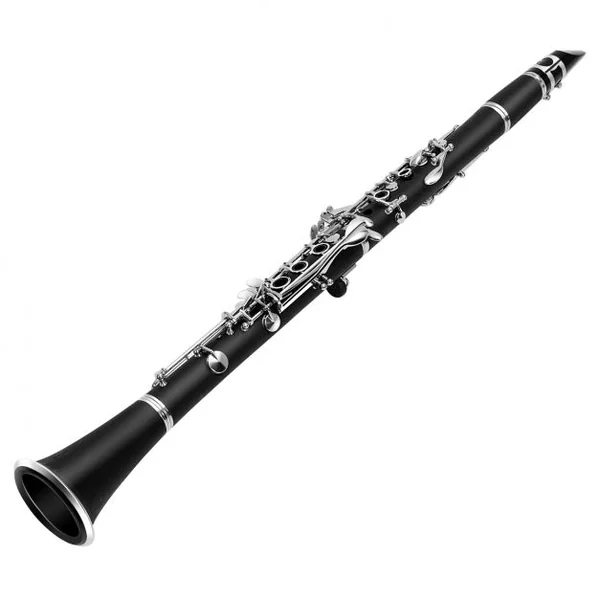 Clarinette 17 Clés avec 2 Barillets et un Kit d’Embouchure Mallette de Transport Noir
