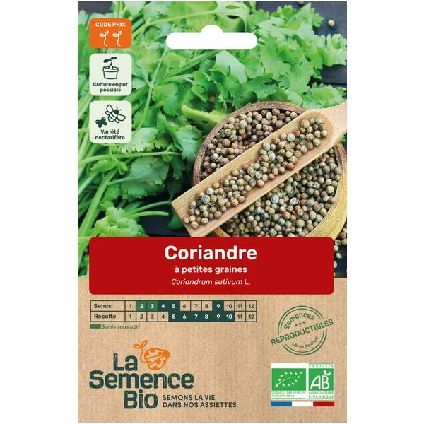 Coriandre petite graine semence 2,2g