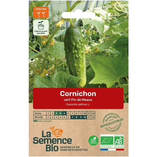 Cornichon vert Fin de Meaux semence 0,6g