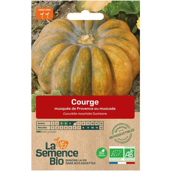 Courge musquée Butternut semence 1,5g