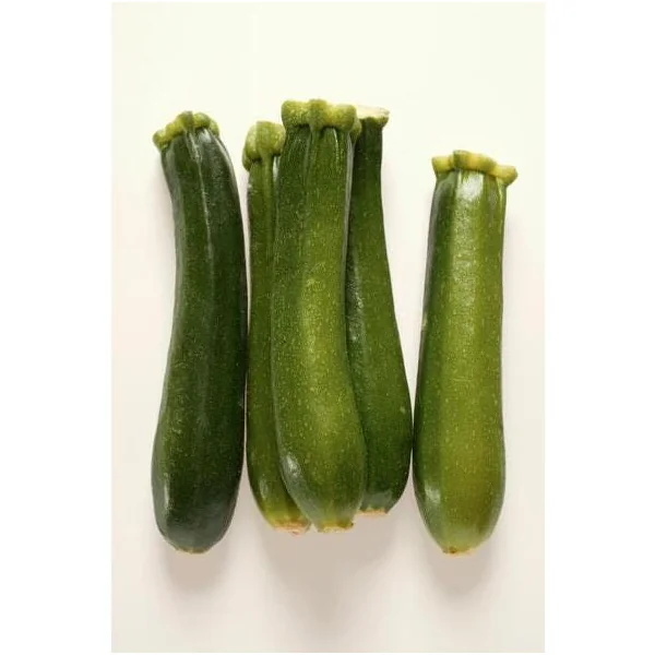 Courgette Longue Verte