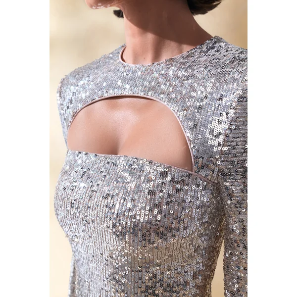 Devora | Robe Longue en Sequins Argentés à Encolure Ras du Cou avec Manches Cape
