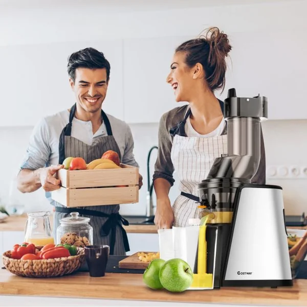Extracteur de Jus 150w avec Accessoires Centrifugeuse Fruits Légumes en Acier Inoxydable Pc 27x185x52cm Blanc Noir