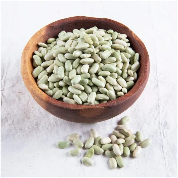 Flageolets verts Bio