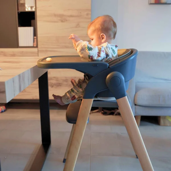 Grow With Me Shady Grey high chair and bouncer pack