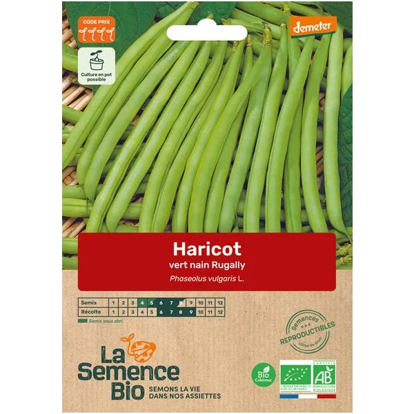 Haricot vert nain Rugally semence 75g