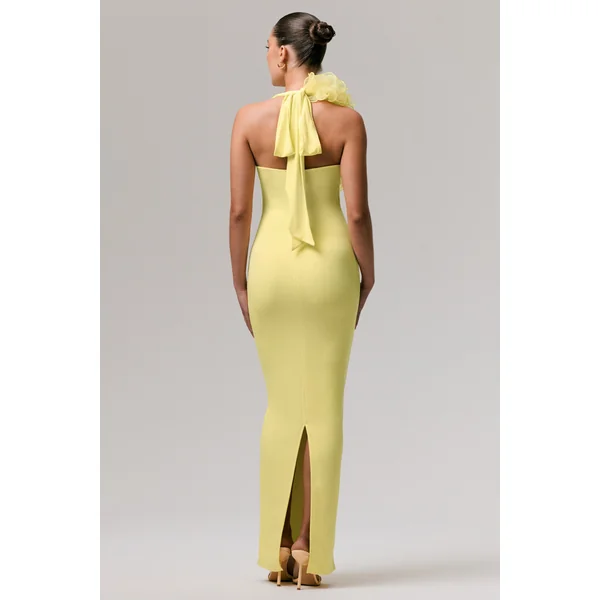 Harriet | Robe Longue Citron à Décolleté Plongeant avec Détail Floral