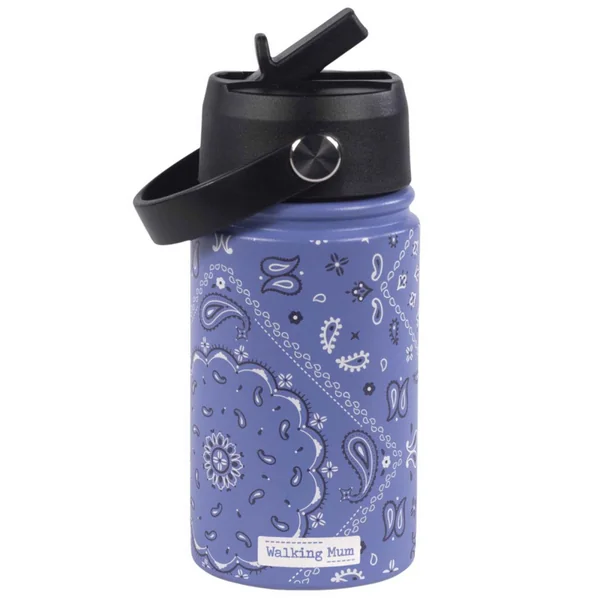 Insulated bottle with leak-proof straw Summer