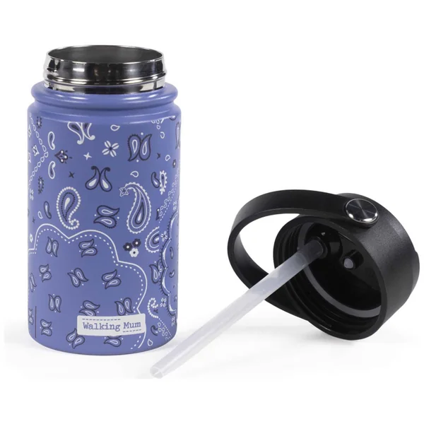 Insulated bottle with leak-proof straw Summer