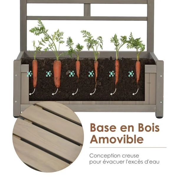 Jardinière avec Treillis en Bois de Sapin Pré-huilé 80 x 40 x 171 CM Bac à Fleurs pour Plante Grimpante avec Fond Amovible