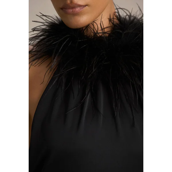 Jemima | Robe longue en satin noir à encolure américaine avec finition en plumes