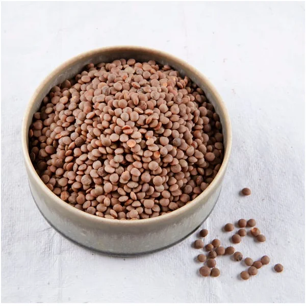 Lentilles de la reine Bio