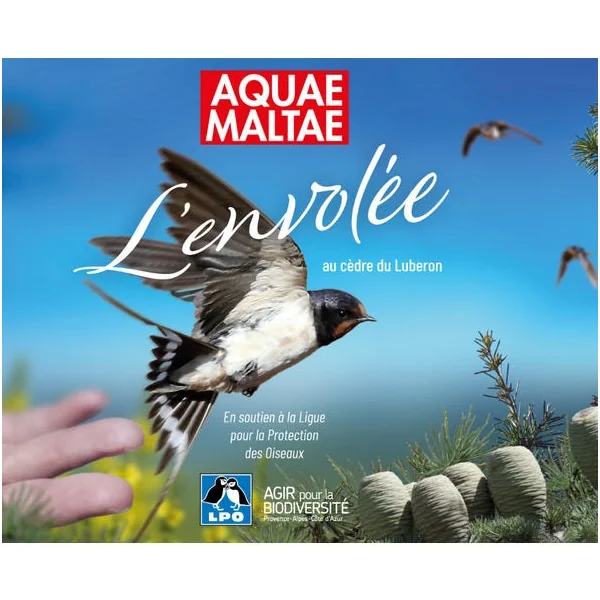 L'envolée 5,6% - 33cl